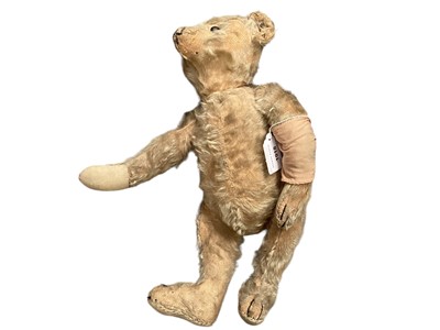 Lot 1918 - Early Steif teddy bear, boot button eyes, small hump, shaved snout, four stitched claws,button in ear.42 cms.