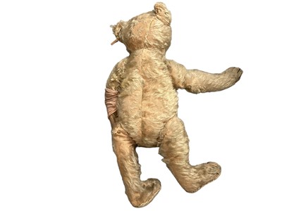 Lot 1918 - Early Steif teddy bear, boot button eyes, small hump, shaved snout, four stitched claws,button in ear.42 cms.