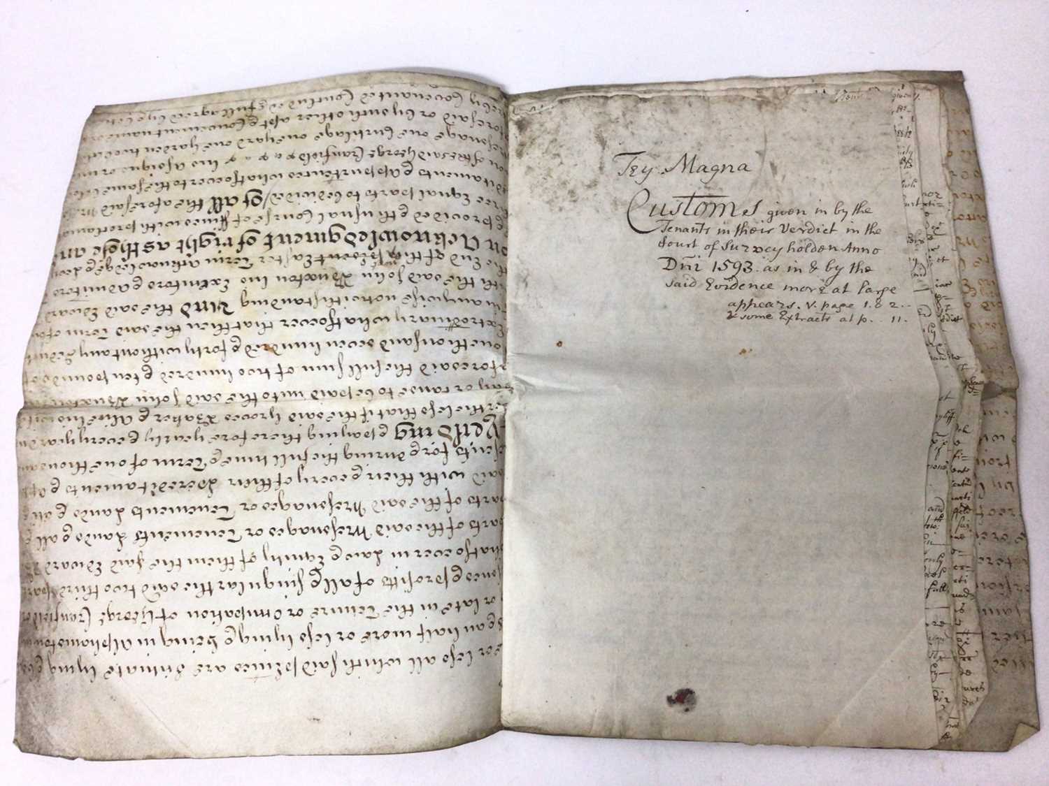 Lot 1003 - Document of local interest - The Manor of Great Tey, copy of a survey made 1593