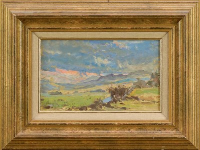 Lot 25 - Manner of Diana Armfield (b.1920) oil on board - Extensive Landscape, bearing initials, 15cm x 23.5cm, framed