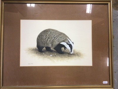 Lot 794 - Simon Turvey, contemporary, four good quality watercolours depicting a badger, red squirrel, rabbit and hedgehog, each signed, in glazed gilt frames