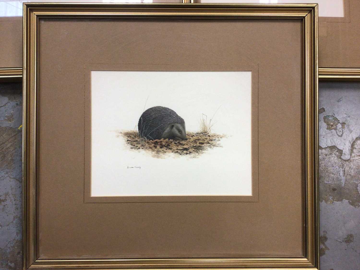 Lot 794 - Simon Turvey, contemporary, four good