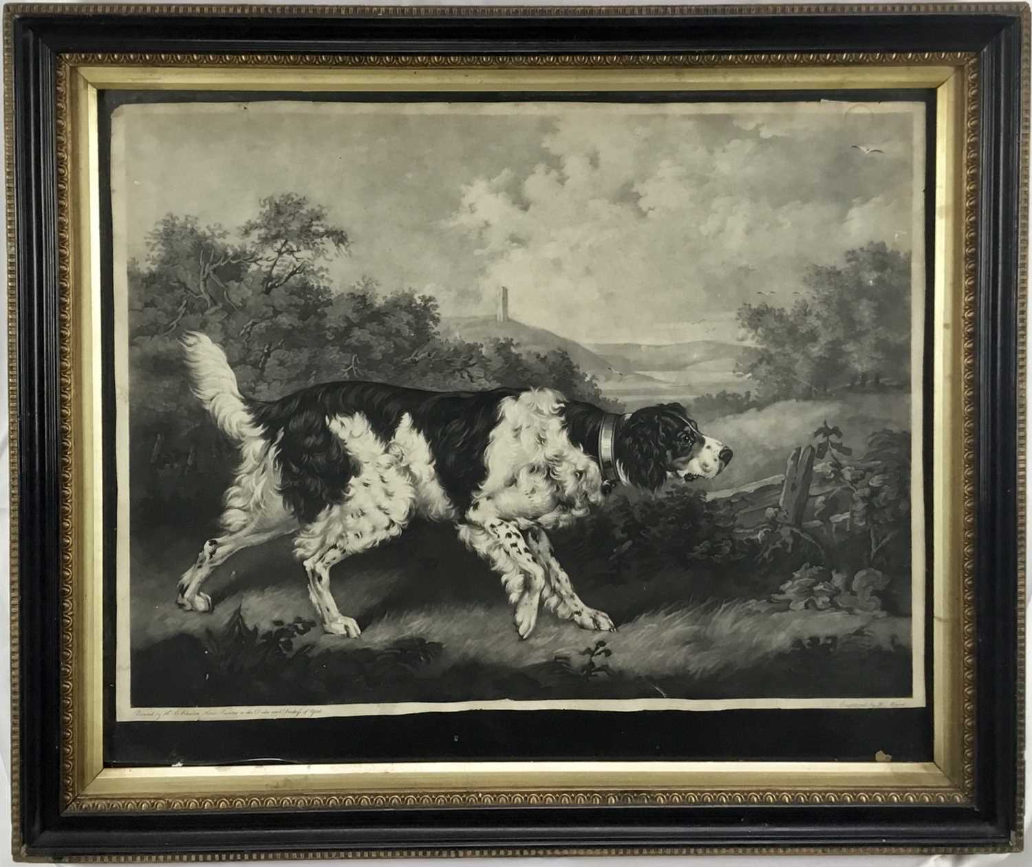 Lot 45 - "Thunder" Old English Setter mezzotint on wove, not laid down William Ward after HB Chalon "Horse painter to the Duke and Duchess of York".  Pub. London 1798.  Framed and glazed Hogarth frame.  55c...