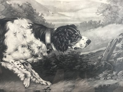 Lot 45 - "Thunder" Old English Setter mezzotint on wove, not laid down William Ward after HB Chalon "Horse painter to the Duke and Duchess of York".  Pub. London 1798.  Framed and glazed Hogarth frame.  55c...