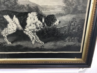 Lot 45 - "Thunder" Old English Setter mezzotint on wove, not laid down William Ward after HB Chalon "Horse painter to the Duke and Duchess of York".  Pub. London 1798.  Framed and glazed Hogarth frame.  55c...