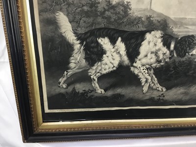 Lot 45 - "Thunder" Old English Setter mezzotint on wove, not laid down William Ward after HB Chalon "Horse painter to the Duke and Duchess of York".  Pub. London 1798.  Framed and glazed Hogarth frame.  55c...