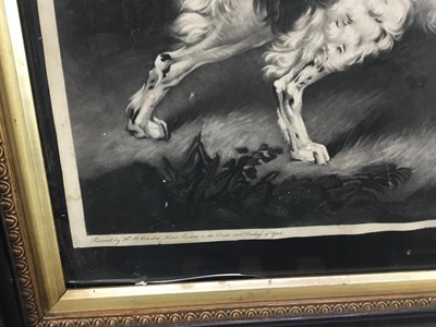 Lot 45 - "Thunder" Old English Setter mezzotint on wove, not laid down William Ward after HB Chalon "Horse painter to the Duke and Duchess of York".  Pub. London 1798.  Framed and glazed Hogarth frame.  55c...