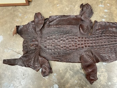 Lot 241 - Crocodile skin