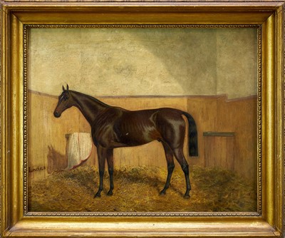 Lot 1046 - Manner of James Clarke, 19th century, oil on canvas - Bay Horse in a Stable, 'Ladas', indistinctly inscribed, 51cm x 61cm, in gilt frame