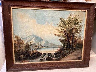 Lot 250 - A H Fanthorpe, oil on  canvas - mountainous river landscape in New Zealand, label verso, 30 x 40cm