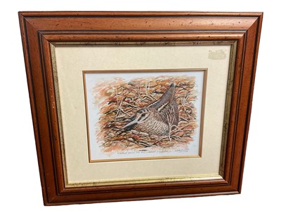 Lot 590 - Mark Chester (b. 1960) watercolour- Woodcock, signed and inscribed 'painted with this woodcock pin feather, 18 x 25cm, glazed frame