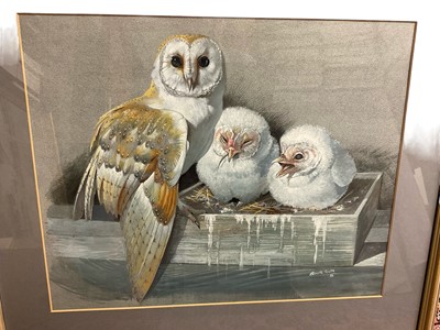 Lot 589 - Kenneth Smith (contemporary) watercolour and bodycolour, two studies of owls, both signed, 36 x 47cm, glazed frames