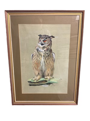 Lot 588 - Kenneth Snith (Contemporary) watercolour, large owl study, signed and dated, 68 x 45cm, glazed frame