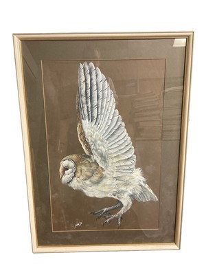 Lot 586 - Reg Snook (contemporary) watercolour and bodycolour, Barn Owl, signed and dated '70, 75 x 45cm, framed, three others