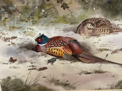 Lot 583 - Robert Milliken (1920-2014) watercolour, Pheasants, signed, 30 x 49cm, glazed frame