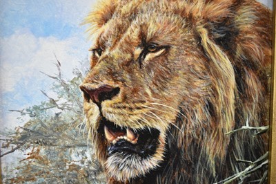 Lot 893 - *Alan M. Hunt (b.1947) oil on board - A Lion, signed, dated '99, further signed verso, 31cm x 20cm, in gilt frame