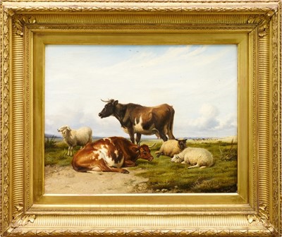 Lot 892 - Thomas Sidney Cooper (1803-1902) oil on canvas - Cattle and Sheep at Rest, signed and dated 1886, 36cm x 46cm, in gilt frame