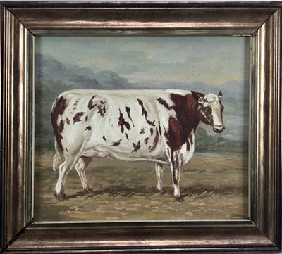 Lot 197 - English School oil on canvas laid on wood board - A Prize Bull,21cm x 24cm, framed