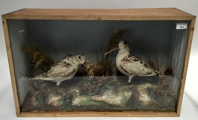 Lot 961 - Edwardian glazed case containing a pair of Woodcock in naturalistic setting, 43cm high x 69cm wide