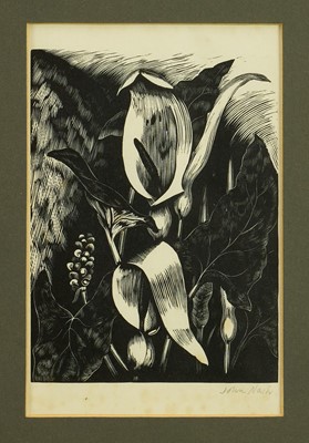 Lot 1195 - *John Nash (1893-1977) signed woodblock - Arum (from Poisonous Plants, 1927), 18cm x 11.5cm, in glazed frame