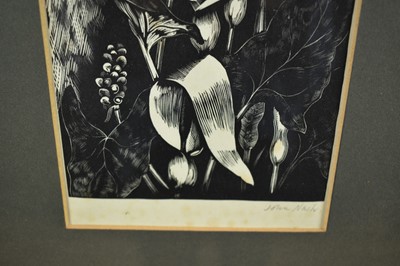 Lot 1195 - *John Nash (1893-1977) signed woodblock - Arum (from Poisonous Plants, 1927), 18cm x 11.5cm, in glazed frame