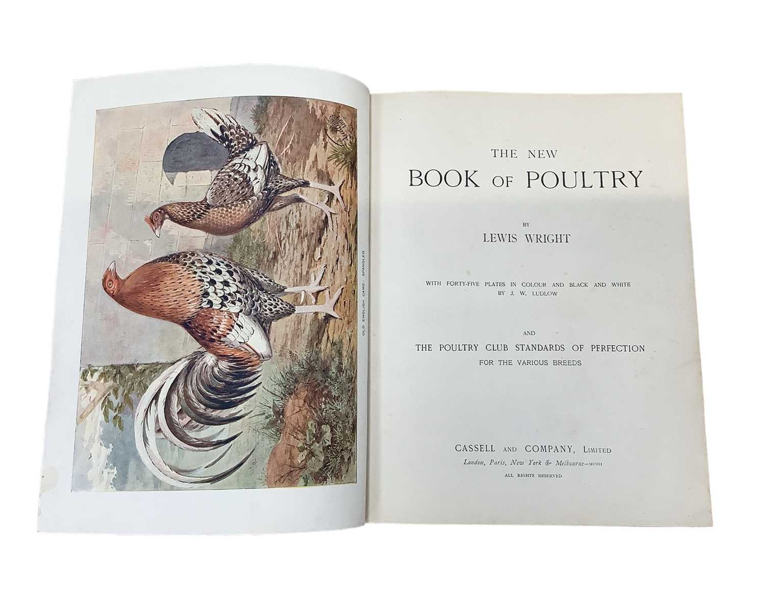 Lot 1543 - Leather bound 'The New Book of Poultry' by Lewis Wright