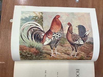 Lot 1543 - Leather bound 'The New Book of Poultry' by Lewis Wright