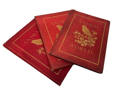 Lot 1719 - Three bound Victorian annuals of the RSPCA's 'Animal World' - dated 1892, 1894, and 1897