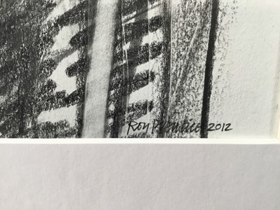 Lot 644 - Roy Prentice, contemporary, pencil and graphite - 'Petra', signed and dated 2012, 33cm x 55cm, framed