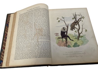 Lot 1718 - Natural History, 2 vols., after Le Clerc and Count de Buffon, with hand coloured plates, published 1862