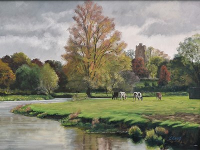 Lot 1054 - English School (Contemporary) oil on board - Sudbury Water Meadows with St Gregory's Church beyond, signed C Child, 44cm x 60cm, framed