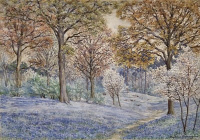 Lot 115 - Beatrice Parsons (1870-1955), watercolour - Bluebells in a Hertfordshire wood