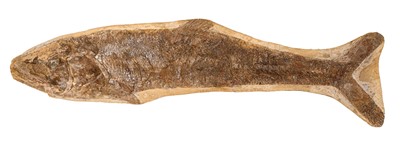 Lot 915 - Fine specimen fossil fish - Noteolops Brama, Brazil, 38cm wide