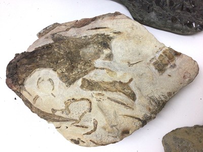 Lot 918 - Fossil fish specimens in nodules, including a Brazilian specimen, 19cm long and others