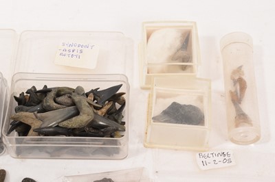 Lot 922 - Very large quantity of fossil shark teeth and crinoids, and similar