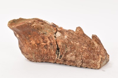 Lot 924 - Large mammoth molar, total length 27cm