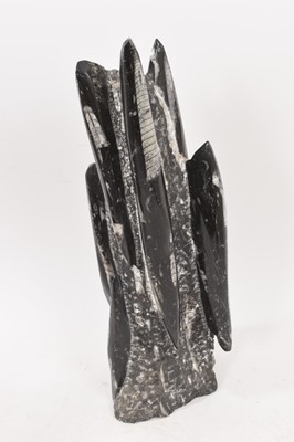 Lot 928 - A large belemnite cluster specimen, 42cm high