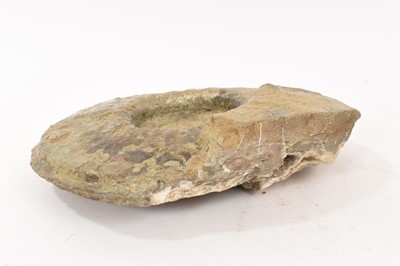 Lot 933 - Large ammonite specimen, 25cm wide