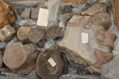 Lot 936 - Collection of Plesiosaur and Pliosaur vertebrae