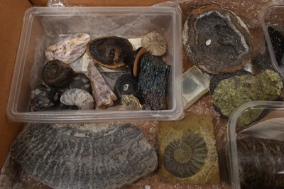 Lot 939 - Mineral specimens and fossils