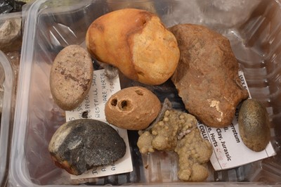 Lot 939 - Mineral specimens and fossils