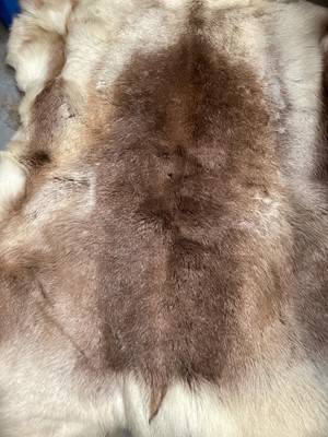 Lot 233 - Reindeer hide