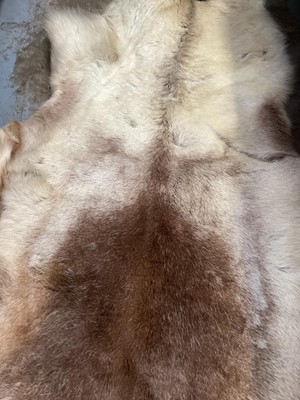 Lot 233 - Reindeer hide