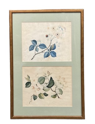 Lot 169 - Two Victorian watercolours of flowers framed together