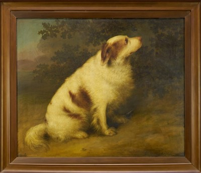 Lot 896 - Stephen Taylor (act. 1806-1812) oil on canvas, portrait of a dog, 'Carlo', signed, inscribed and dated 1831, 74.5cm x 89.5cm, in gilt frame