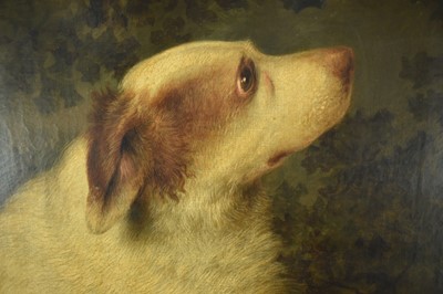 Lot 896 - Stephen Taylor (act. 1806-1812) oil on canvas, portrait of a dog, 'Carlo', signed, inscribed and dated 1831, 74.5cm x 89.5cm, in gilt frame