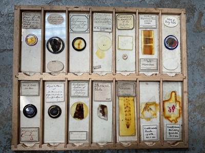 Lot 136 - Collection of microscope slides and microscope parts