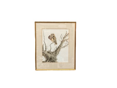 Lot 185 - Brian Reed (b. 1934) watercolour, two owls in a tree, signed, 51 x 40cm, glazed frame