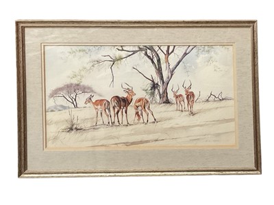 Lot 187 - Alan Carter (b. 1909) watercolour - Ibex, signed, 42 x 73cm, glazed frame