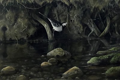 Lot 144 - Mark Luckhurst (contemporary) acrylic on panel, Pied Wagtail on the River Ching